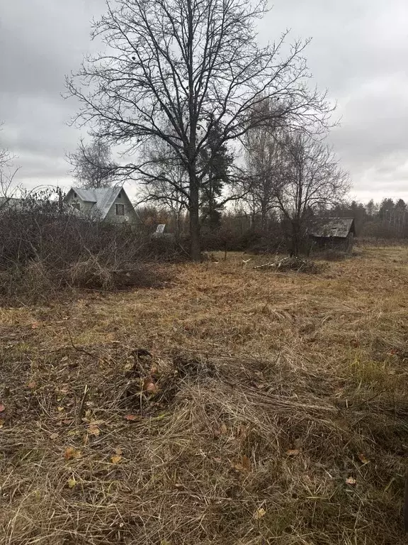 Участок в Московская область, Орехово-Зуевский городской округ, д. ... - Фото 1