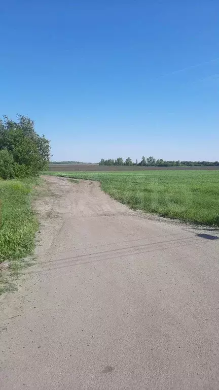 Участок 10 сот. (СНТ, ДНП) - Фото 0