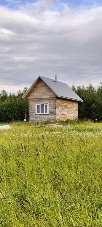 Участок в Коми, Корткеросский район, Додзь муниципальное образование, ... - Фото 1