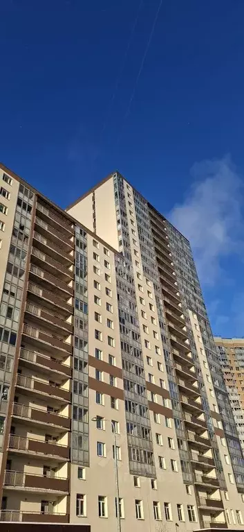 Студия Ленинградская область, Мурино Всеволожский район, аллея ... - Фото 1