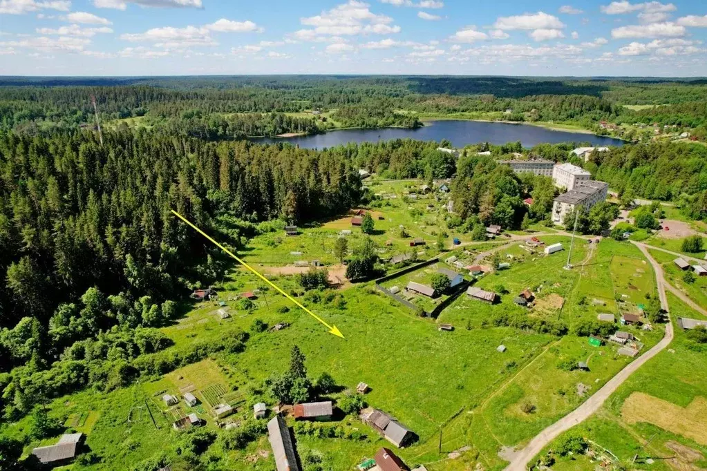 Участок в Карелия, Лахденпохский район, Куркиекское с/пос, пос. ... - Фото 0