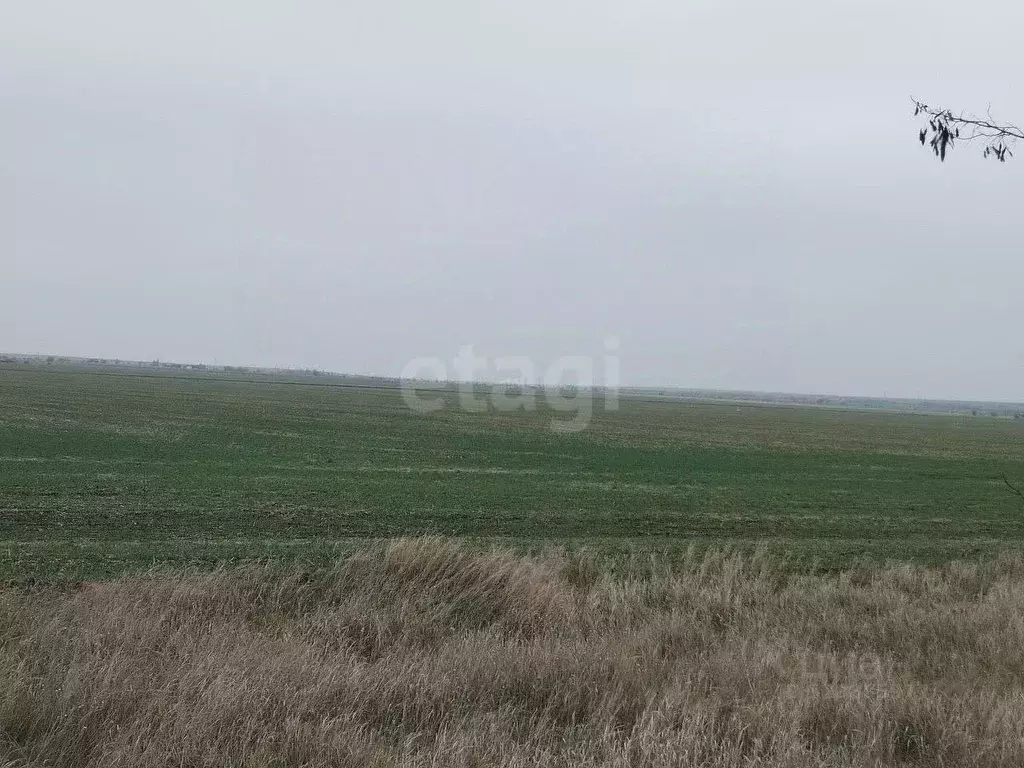 Участок в Крым, Ленинский район, Семисотское с/пос, с. Каменское ул. ... - Фото 2