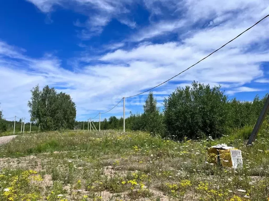 участок в нижегородская область, кстовский муниципальный округ, с. . - Фото 0