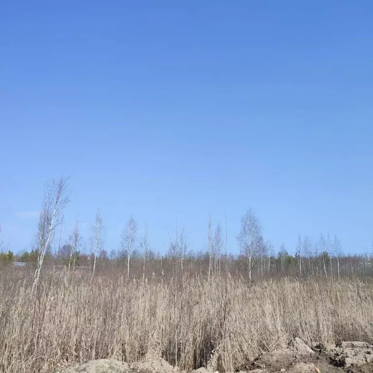 Участок в Московская область, Электрогорск Павлово-Посадский городской ... - Фото 0