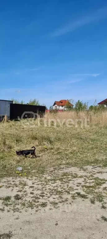 Участок в Калининградская область, Гурьевский муниципальный округ, ... - Фото 2