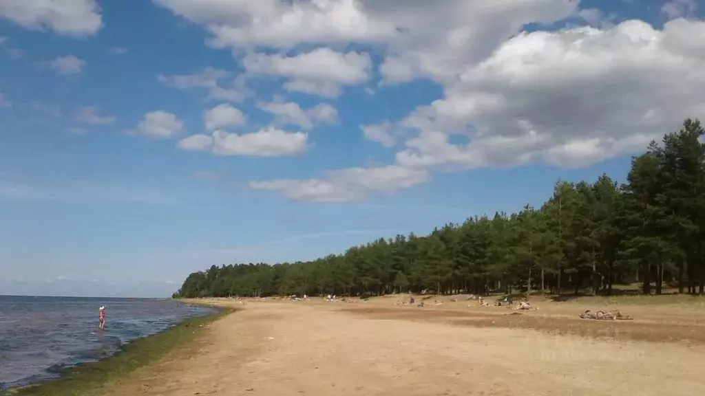 Дом в Ленинградская область, Ломоносовский район, Лопухинское с/пос, ... - Фото 1