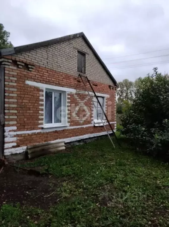 Дом в Алтайский край, Ельцовский район, с. Мартыново Молодежная ул., ... - Фото 1