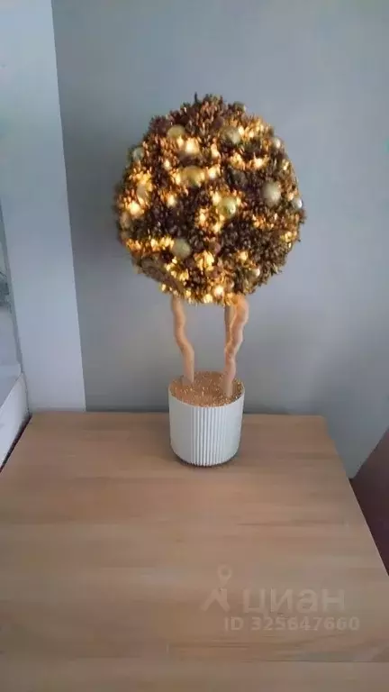 Студия Московская область, Красногорск городской округ, д. Глухово ул. ... - Фото 2