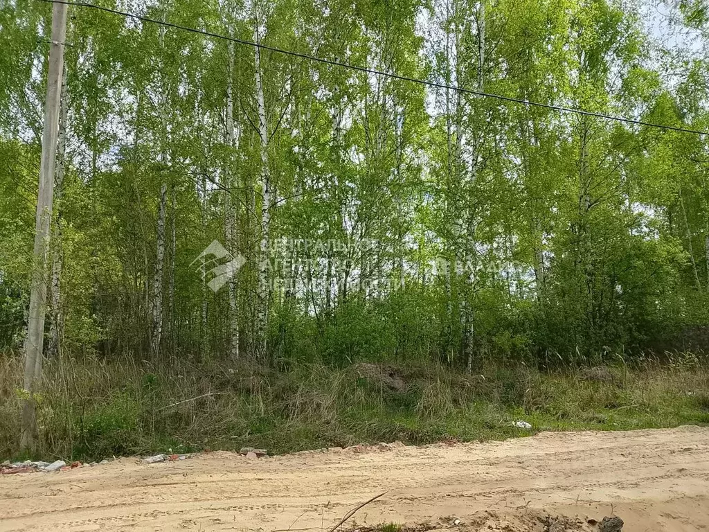 Участок в Рязанская область, Рязанский район, Дубровическое с/пос, с. ... - Фото 1