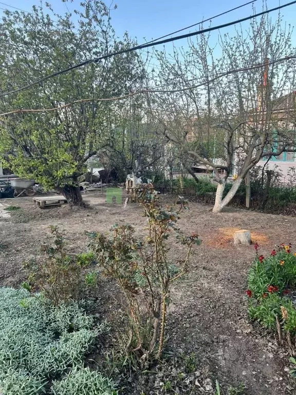 Участок в Севастополь с. Полюшко, 3А/8 (6.2 сот.) - Фото 2