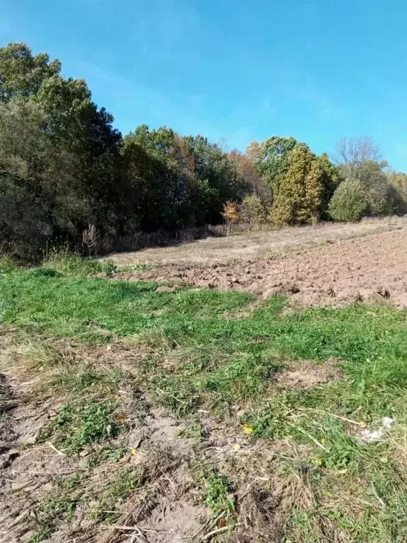 Участок в Калужская область, Перемышльский район, Горки с/пос, д. ... - Фото 2