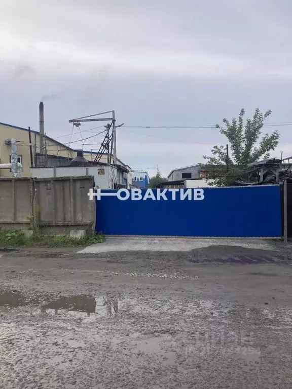 Помещение свободного назначения в Новосибирская область, Новосибирский ... - Фото 0