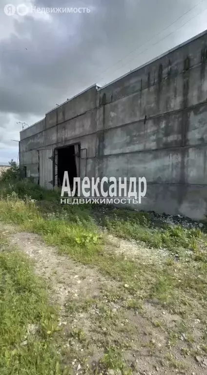 Помещение свободного назначения (1715.6 м) - Фото 2