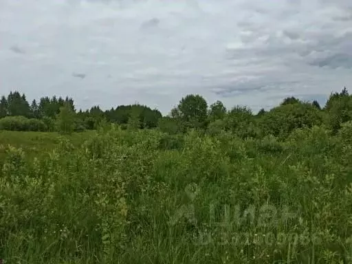Участок в Московская область, Воскресенск городской округ, с. Ашитково ... - Фото 2