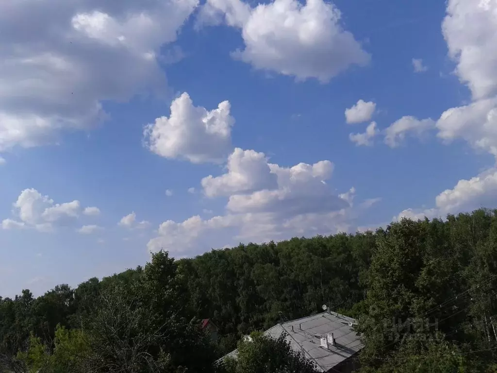 2-к кв. Московская область, Ногинск Богородский городской округ, ул. ... - Фото 2