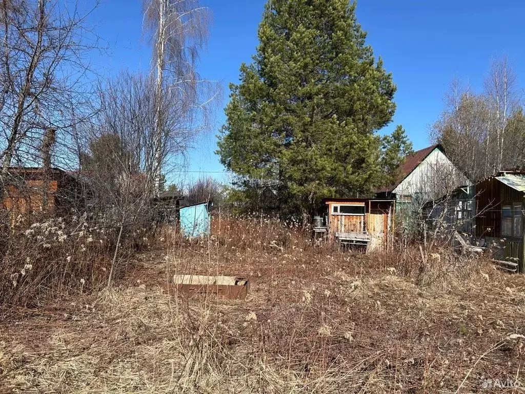 Участок в Татарстан, Лаишевский район, Никольское с/пос, Надежда СНТ ... - Фото 1