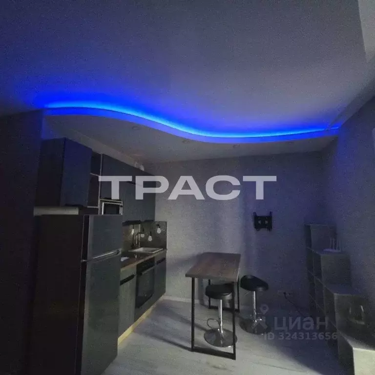 Студия Воронежская область, Воронеж просп. Труда, 68 (30.2 м) - Фото 1