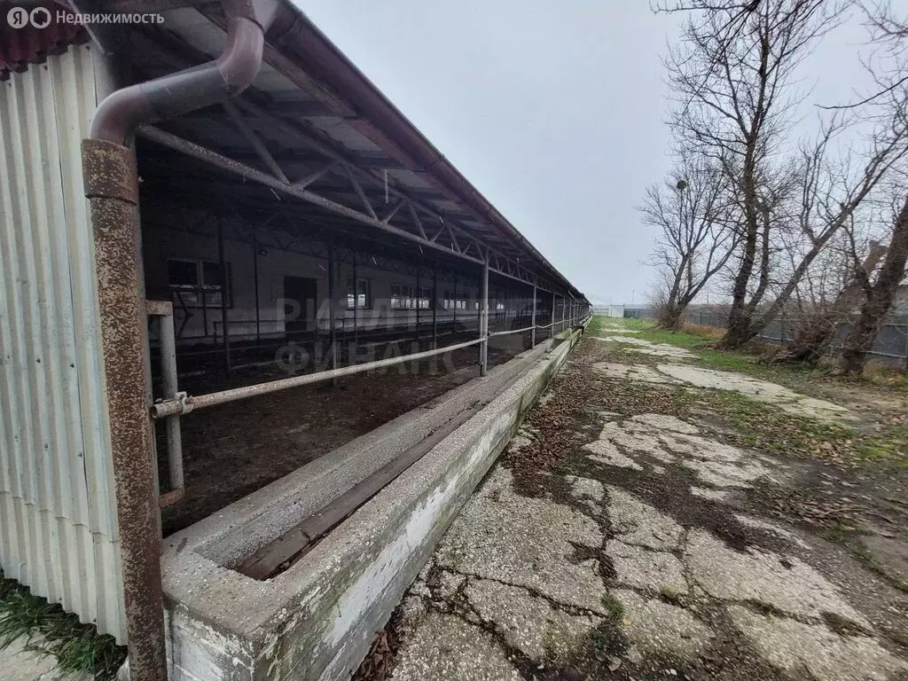 Производственное помещение (6950 м) - Фото 2