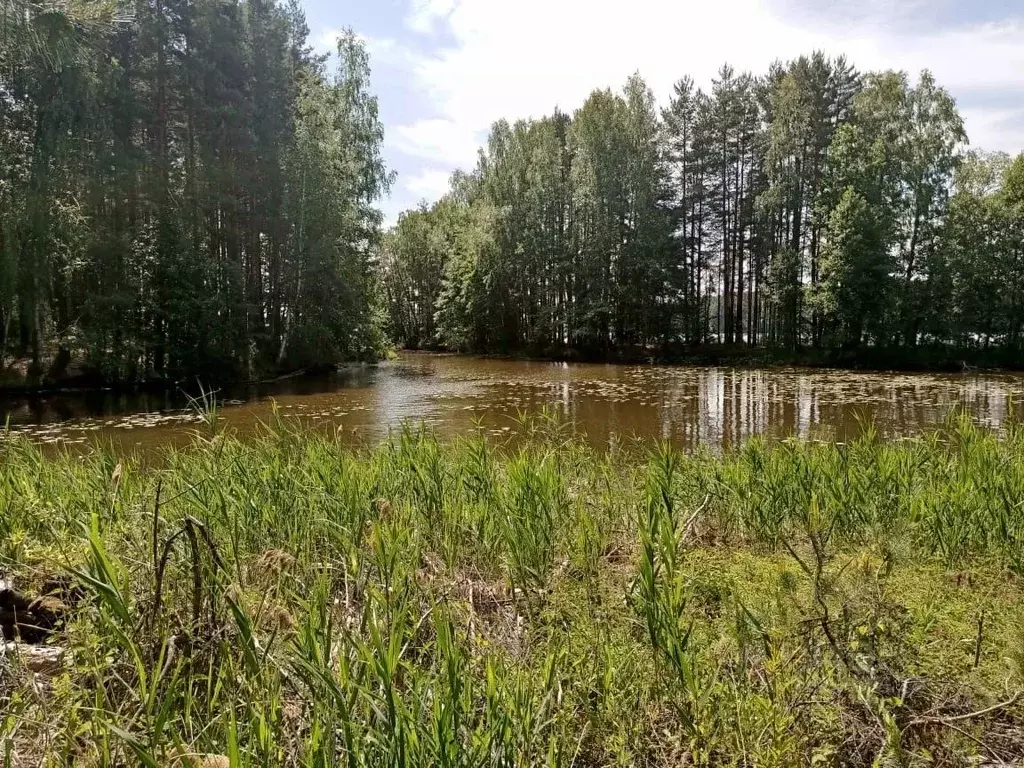 Участок в Нижегородская область, Сокольский городской округ, д. ... - Фото 1