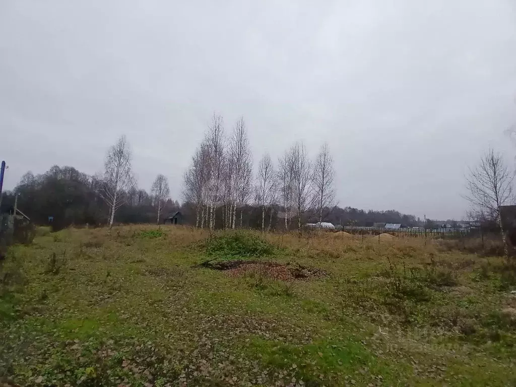 Участок в Нижегородская область, Выкса городской округ, с. Нижняя ... - Фото 2