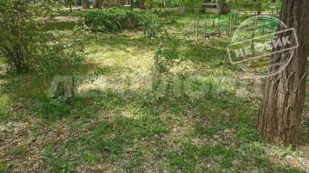 Участок в Ростовская область, Азовский район, с. Пешково ул. ... - Фото 0