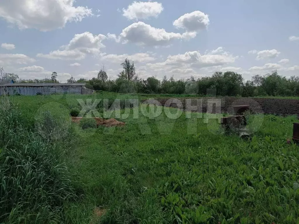 Дом 49,5 м на участке 36,1 сот. - Фото 1