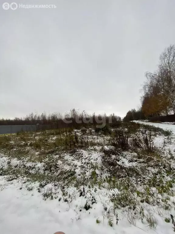 Участок в Дмитровский городской округ, деревня Кончинино (12 м) - Фото 1