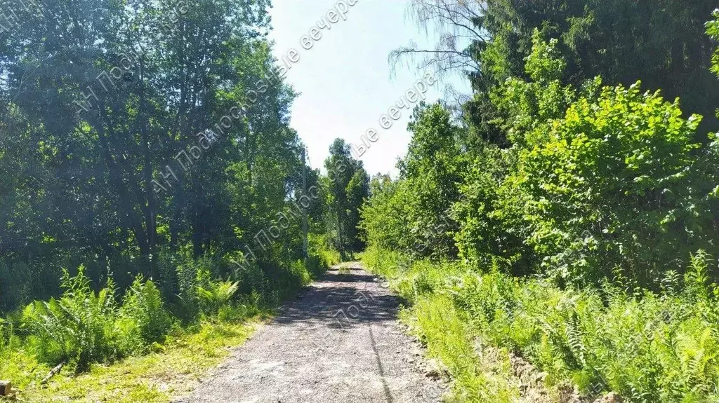 Участок в Московская область, Солнечногорск городской округ, СНТ ... - Фото 2