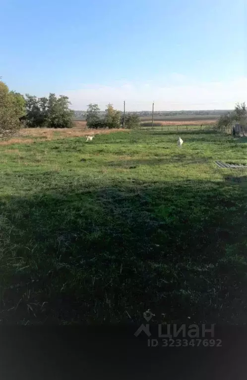 Участок в Краснодарский край, Анапа муниципальный округ, пос. ... - Фото 1