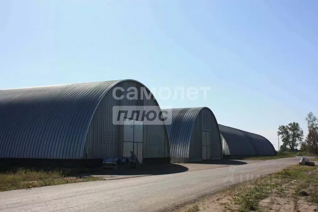 Склад в Московская область, Дмитровский муниципальный округ, д. ... - Фото 2