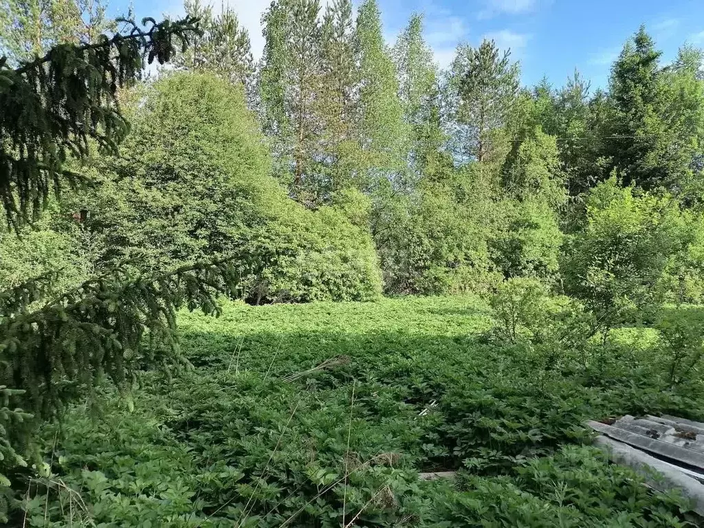 Дом в Ленинградская область, Выборгский район, Рощинское городское ... - Фото 0