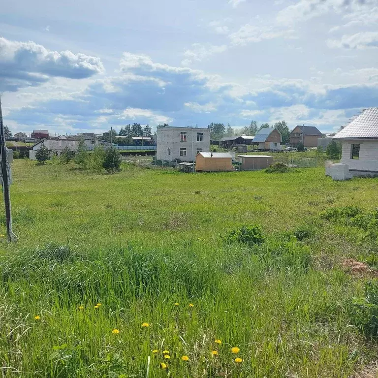 Участок в Нижегородская область, Богородский муниципальный округ, с. ... - Фото 0