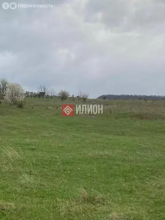Участок в Бахчисарайский район, Скалистовское сельское поселение, село ... - Фото 2