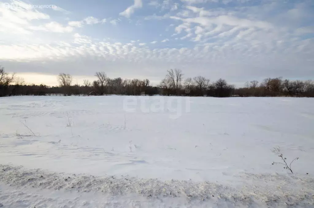 Участок в Заводоуковск, улица Гилёвская Роща (6.24 м) - Фото 2