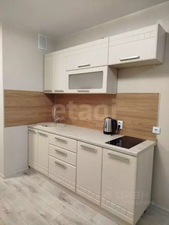 Студия Воронежская область, Воронеж Острогожская ул., 156/1 (24.0 м) - Фото 1