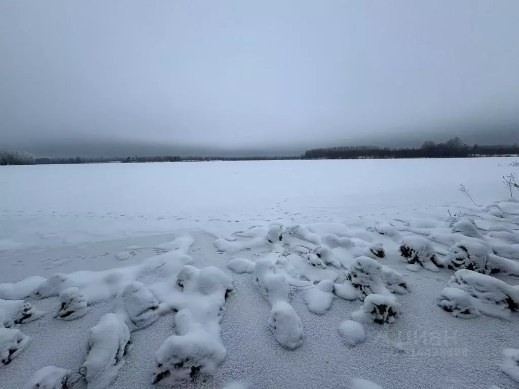 Участок в Новгородская область, Окуловский район, Турбинное с/пос  ... - Фото 1