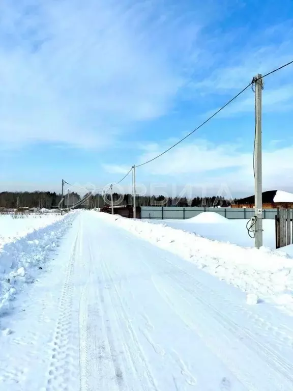 Участок в Тюменская область, Нижнетавдинский район, с. Тюнево  (9.0 ... - Фото 1