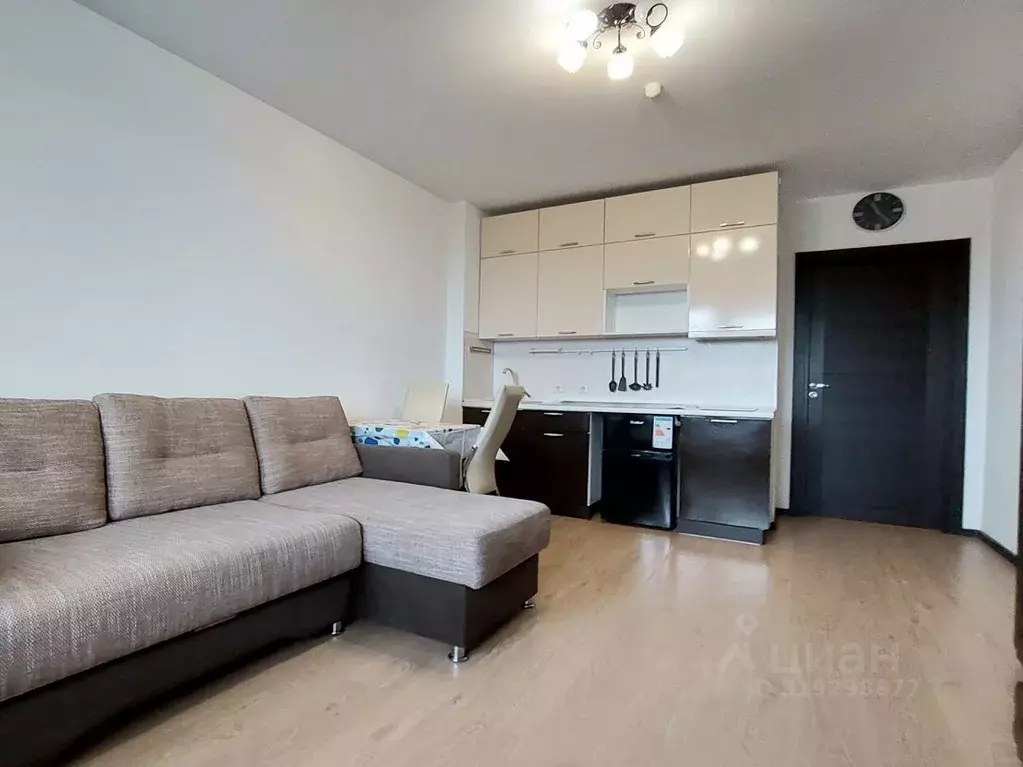 Студия Санкт-Петербург просп. Энергетиков, 9к3 (25.1 м) - Фото 0