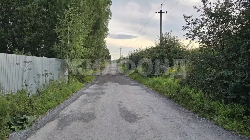 Участок в Новосибирская область, Новосибирский район, Барышевский ... - Фото 2