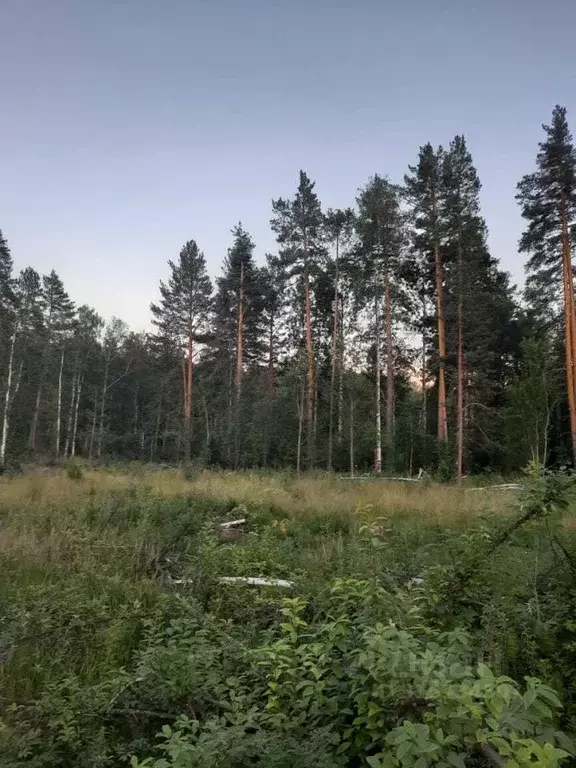Участок в Свердловская область, Ревда муниципальный округ, с. Кунгурка ... - Фото 0