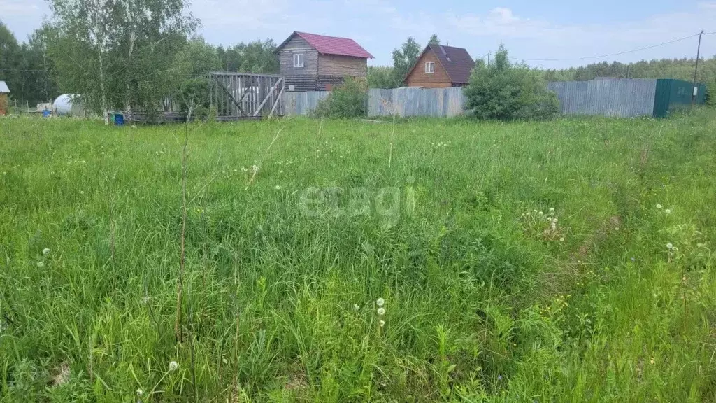 Участок в Московская область, Чехов городской округ, Полесье СНТ 6 ... - Фото 0