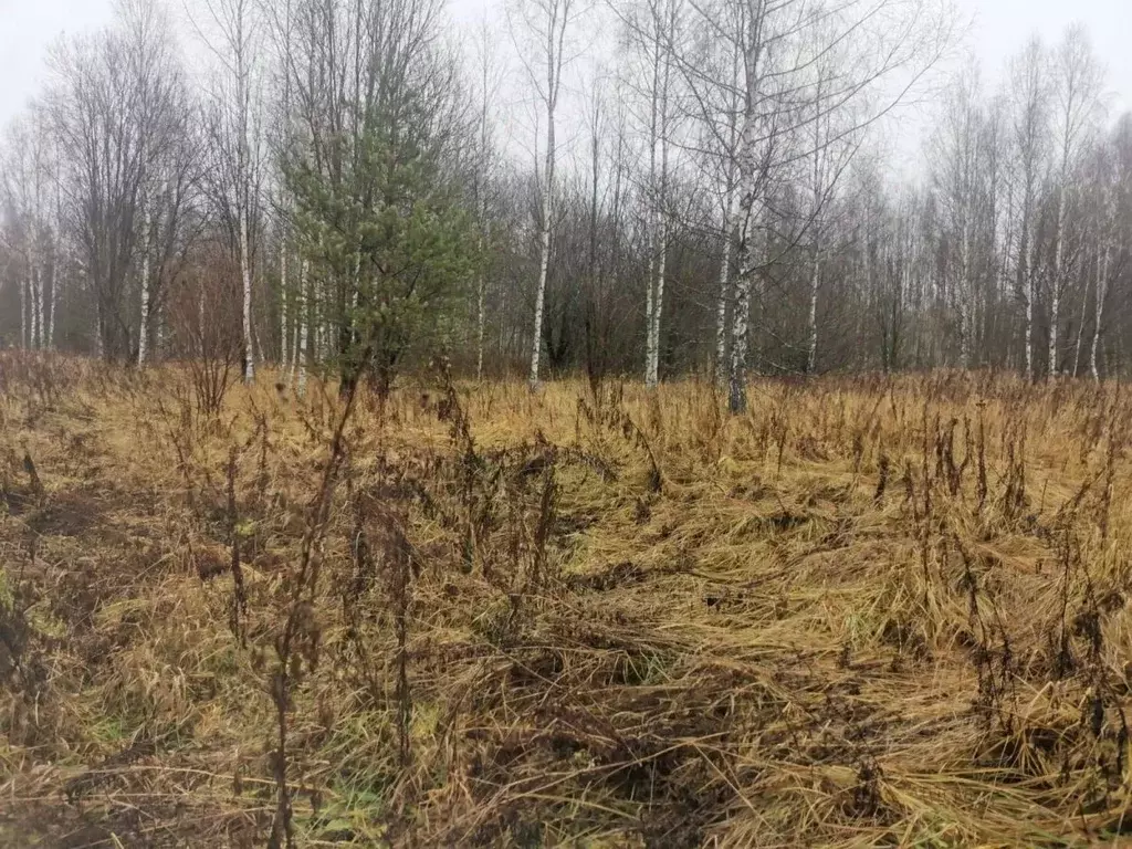 Участок в Тверская область, Калининский муниципальный округ, д. ... - Фото 0