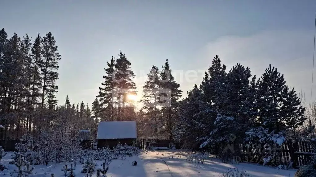 Участок в Свердловская область, Екатеринбург Луч ТОО Горнощитское КС, ... - Фото 2