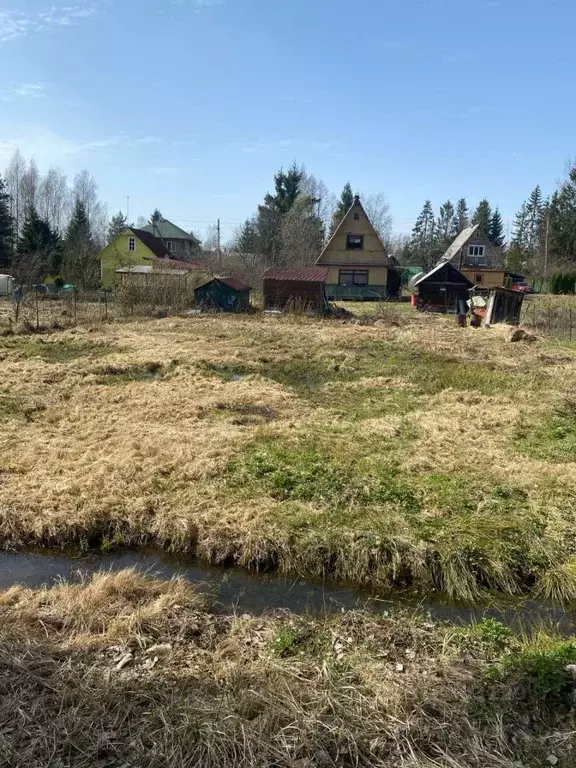 Участок в Ленинградская область, Лужский район, Мшинское с/пос, ... - Фото 0