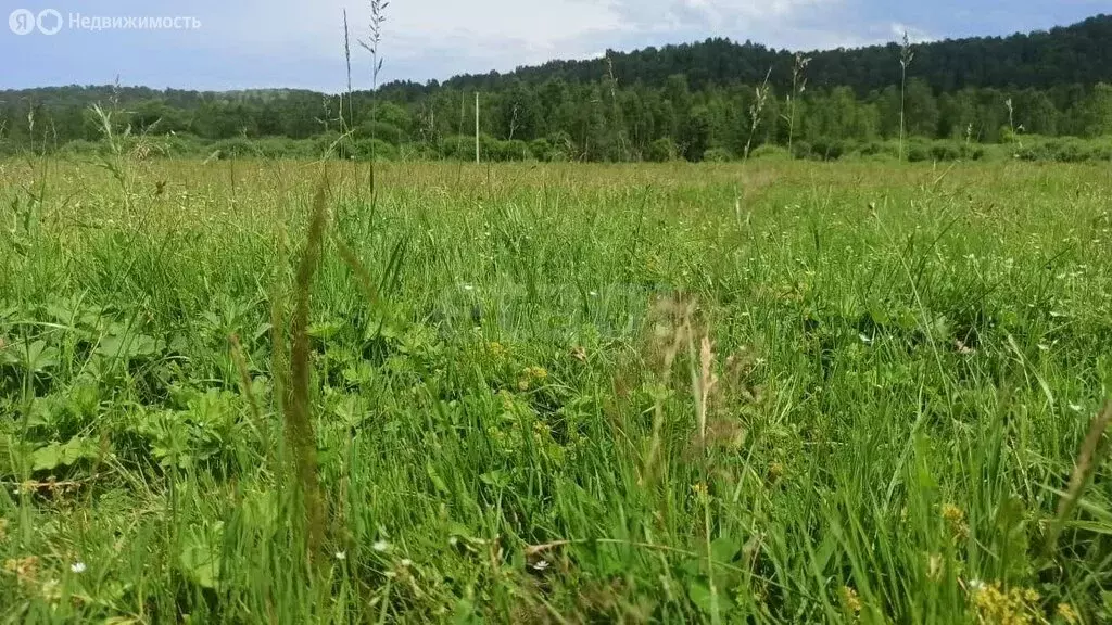 Участок в Горно-Алтайск, Хвойная улица (9 м) - Фото 1