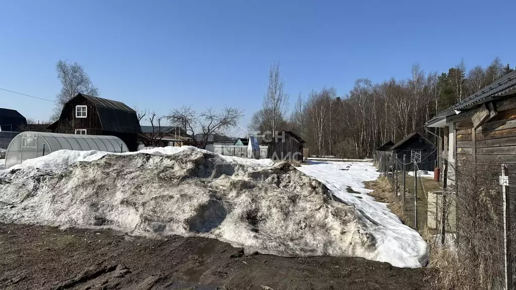 Участок в Московская область, Богородский городской округ, д. Молзино ... - Фото 2