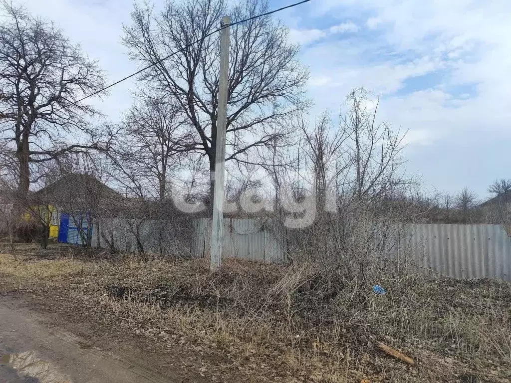 Участок в Белгородская область, Алексеевский муниципальный округ, с. ... - Фото 0