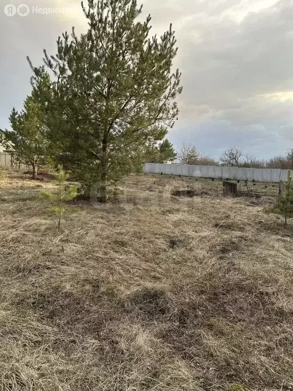 Участок в Белгородская область, Яковлевский муниципальный округ, ... - Фото 1