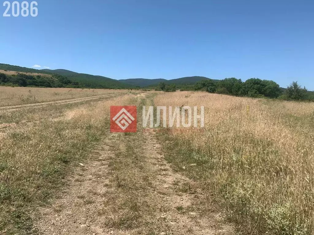 Участок в Крым, Кировский район, Старый Крым городское поселение пл. ... - Фото 1