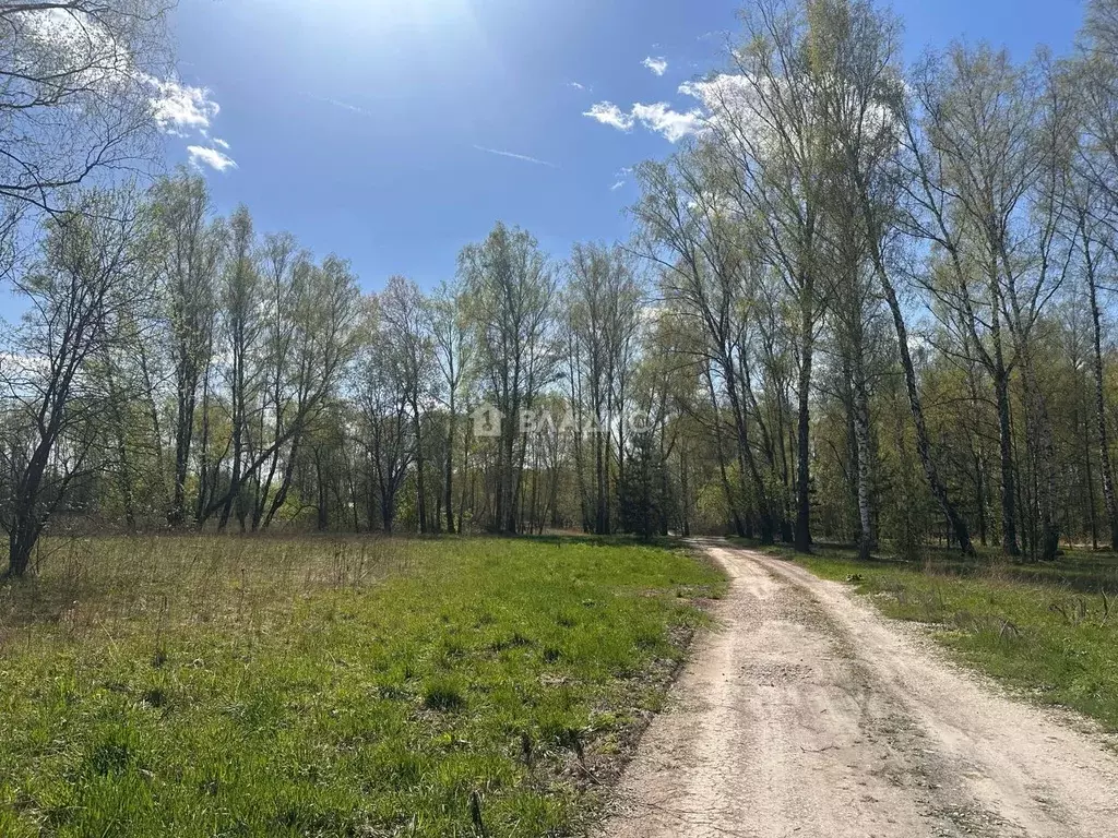 Участок в Московская область, Коломна городской округ, д. Сенцово ул. ... - Фото 2